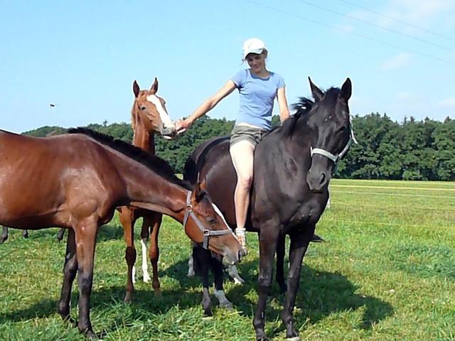 náhodný obrázek
